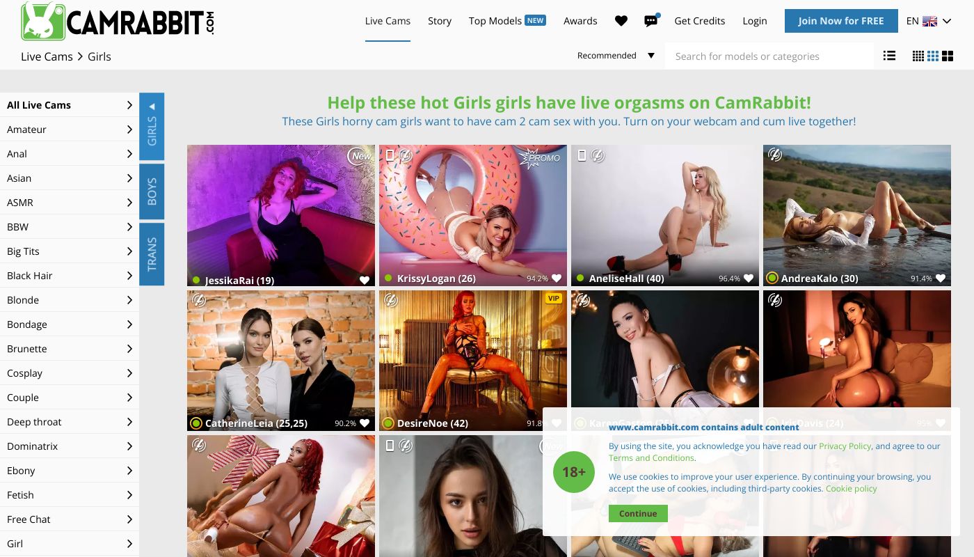What is CamRabbit? - Live Sex Cam Website - Review 2024