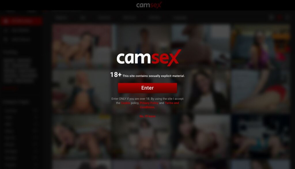 WHAT IS CAMSEX?
