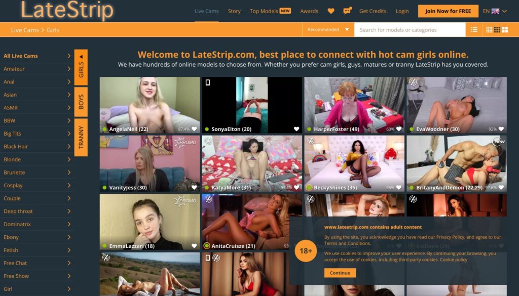 WHAT IS LATESTRIP?