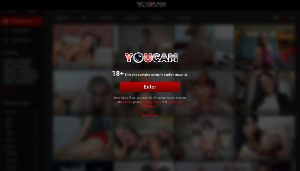 WHAT IS YOUCAM?